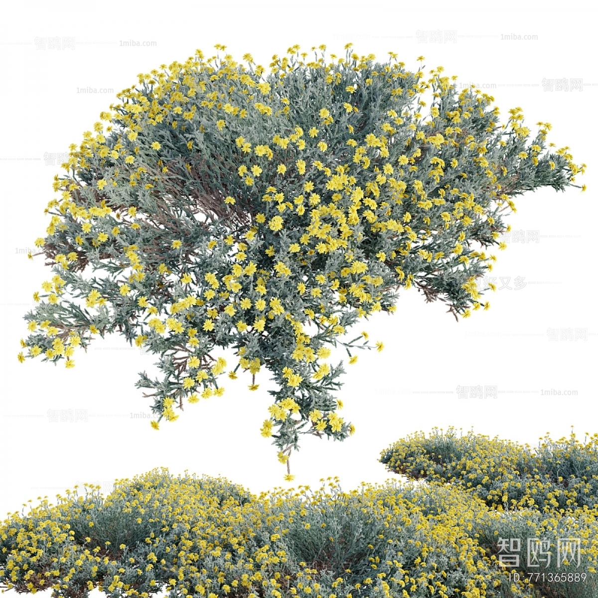 Modern Flowers And Grass