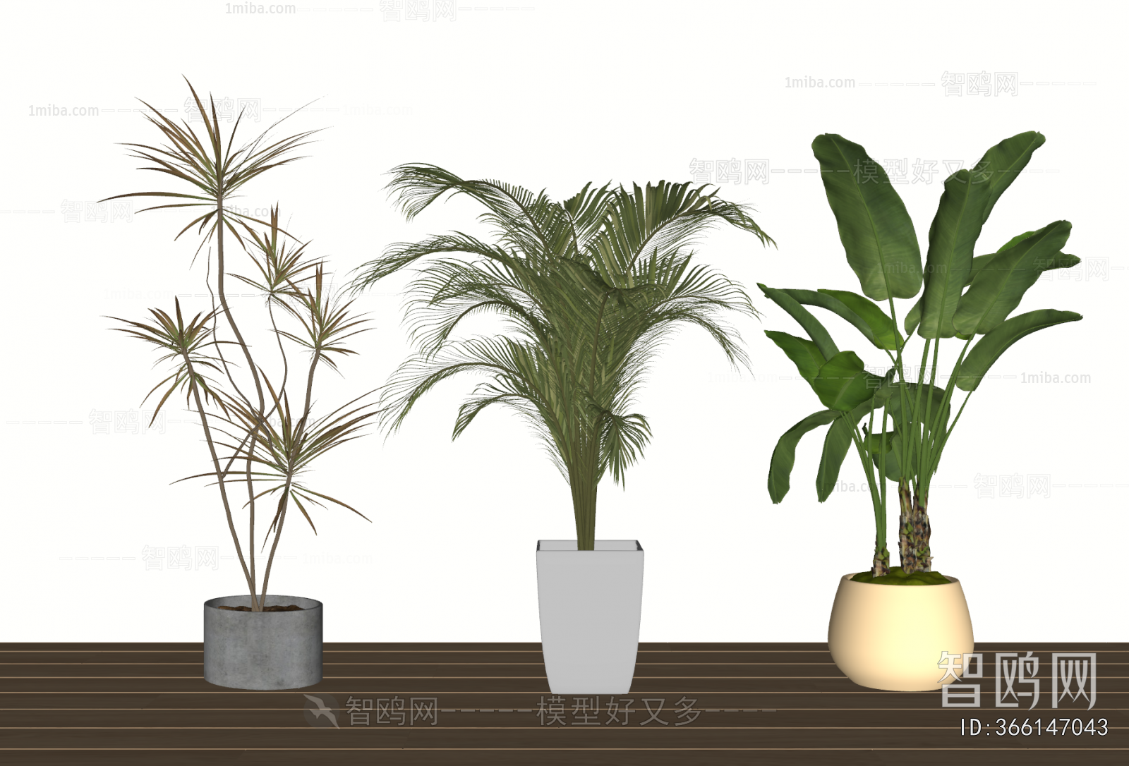Modern Ground Green Plant Potted Plants
