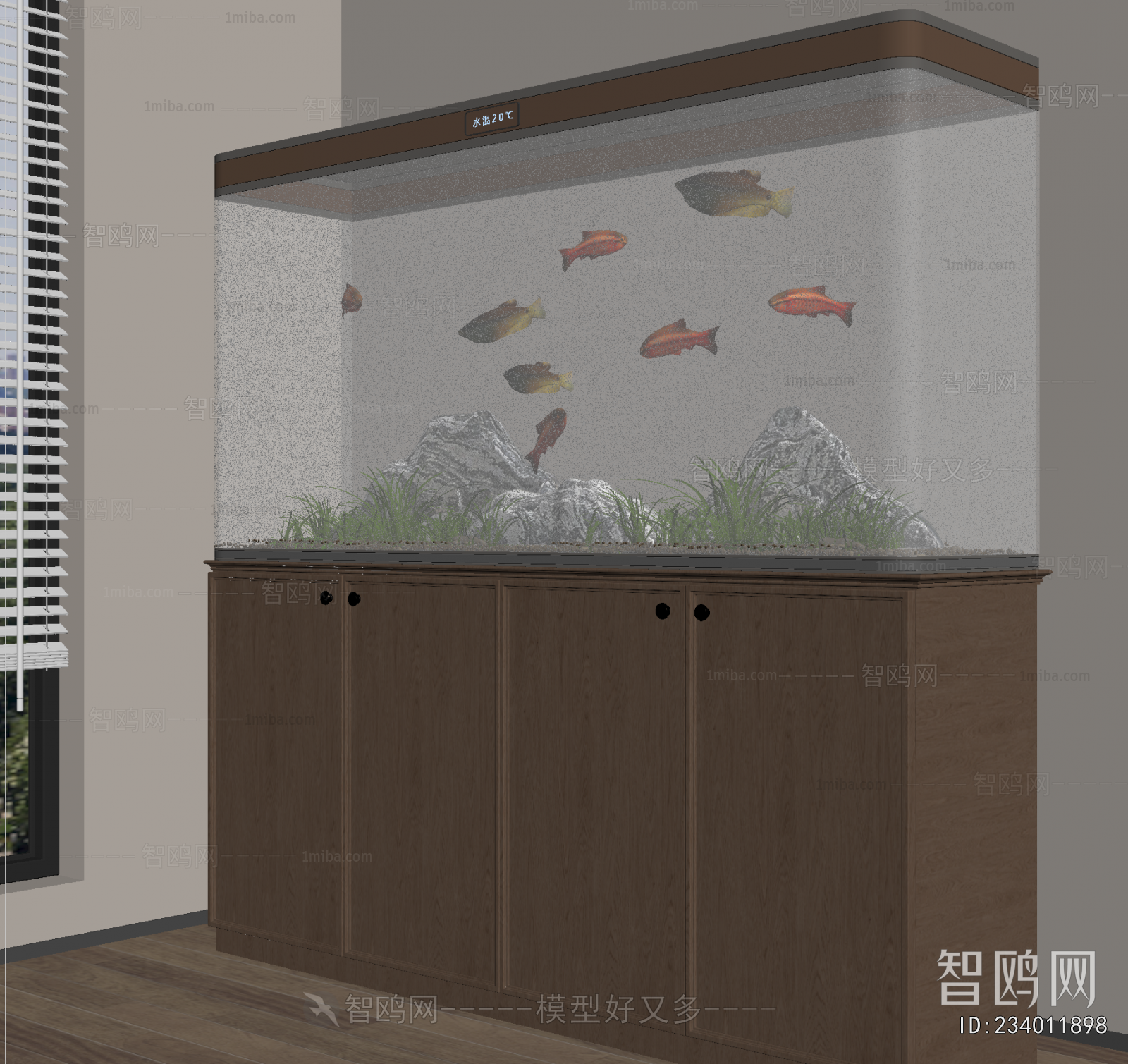 Modern Fish Tank