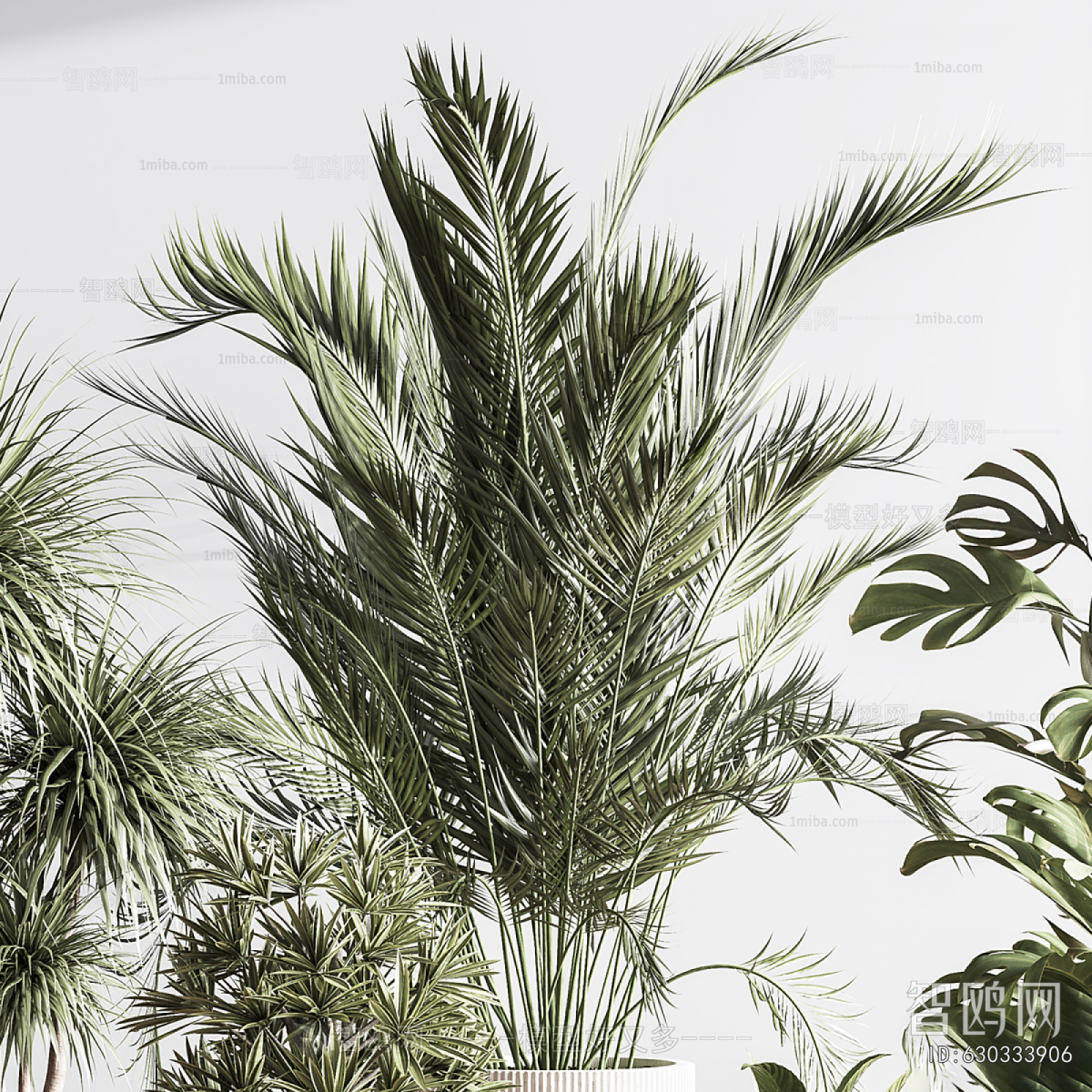 Modern Ground Green Plant Potted Plants