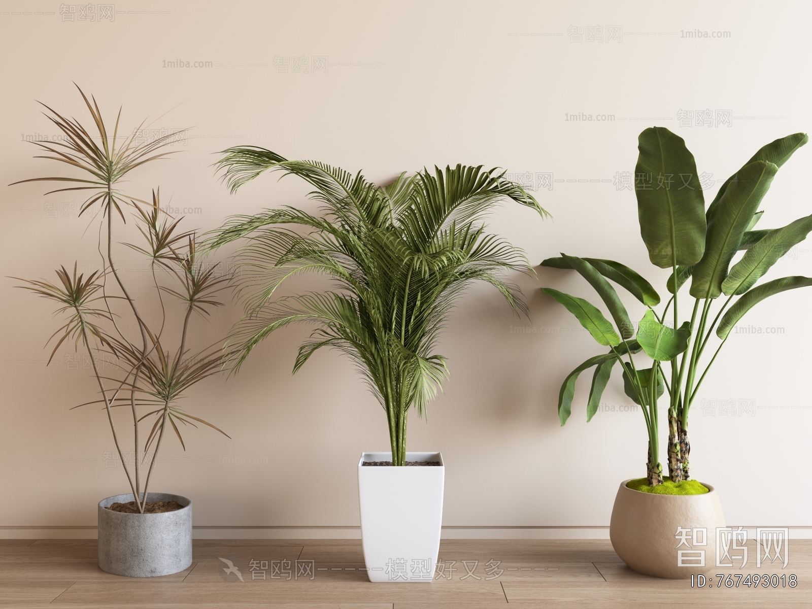 Modern Ground Green Plant Potted Plants