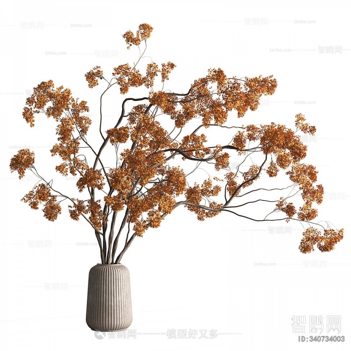 Modern Dried Branch