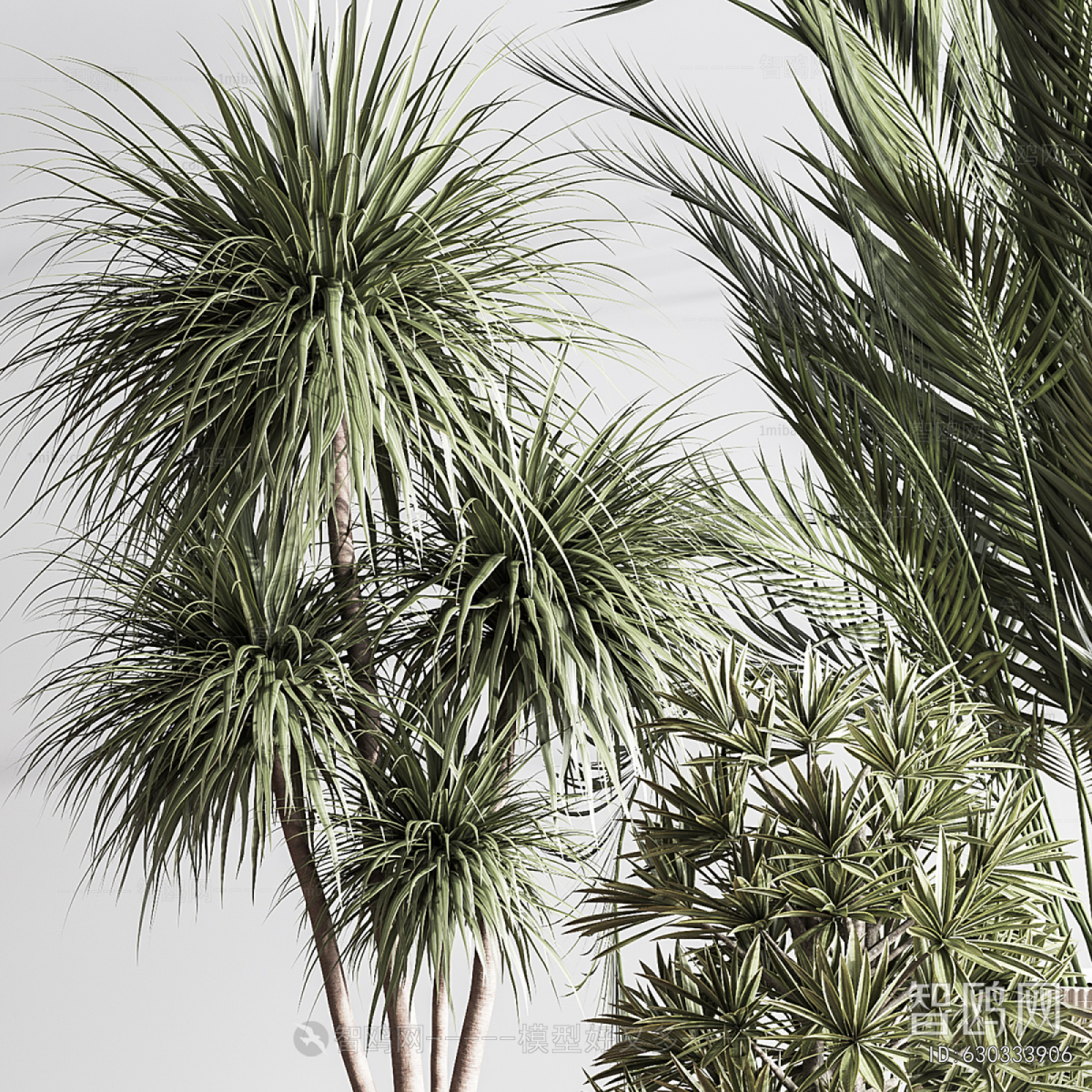 Modern Ground Green Plant Potted Plants