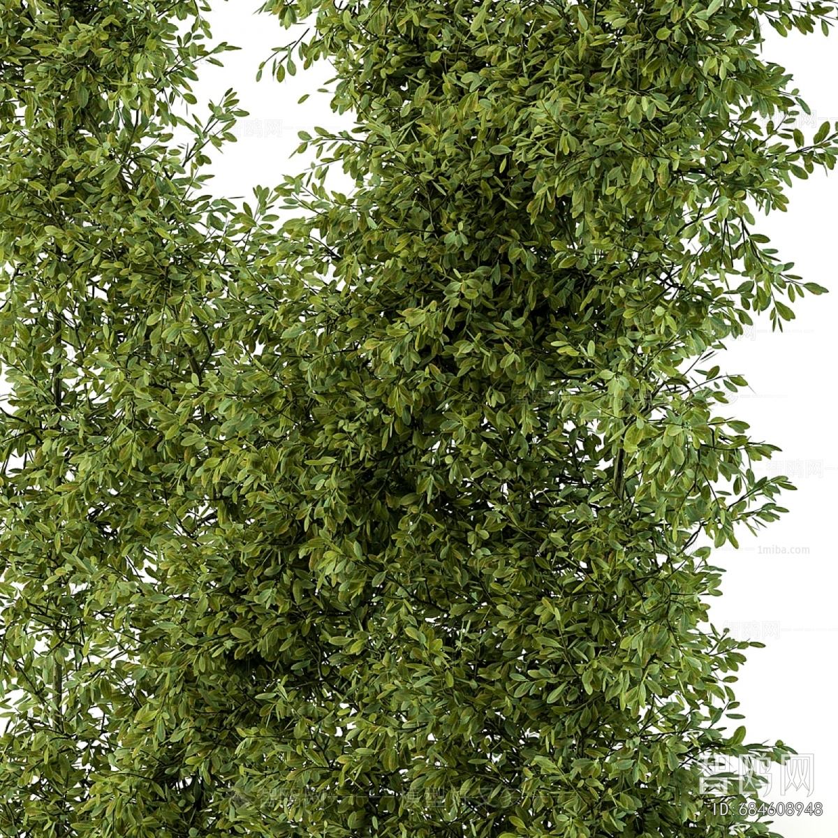 Modern Flower Bed, Flower Bowl, Flower Box