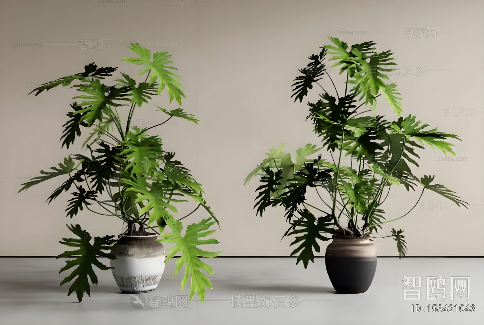 Modern Ground Green Plant Potted Plants