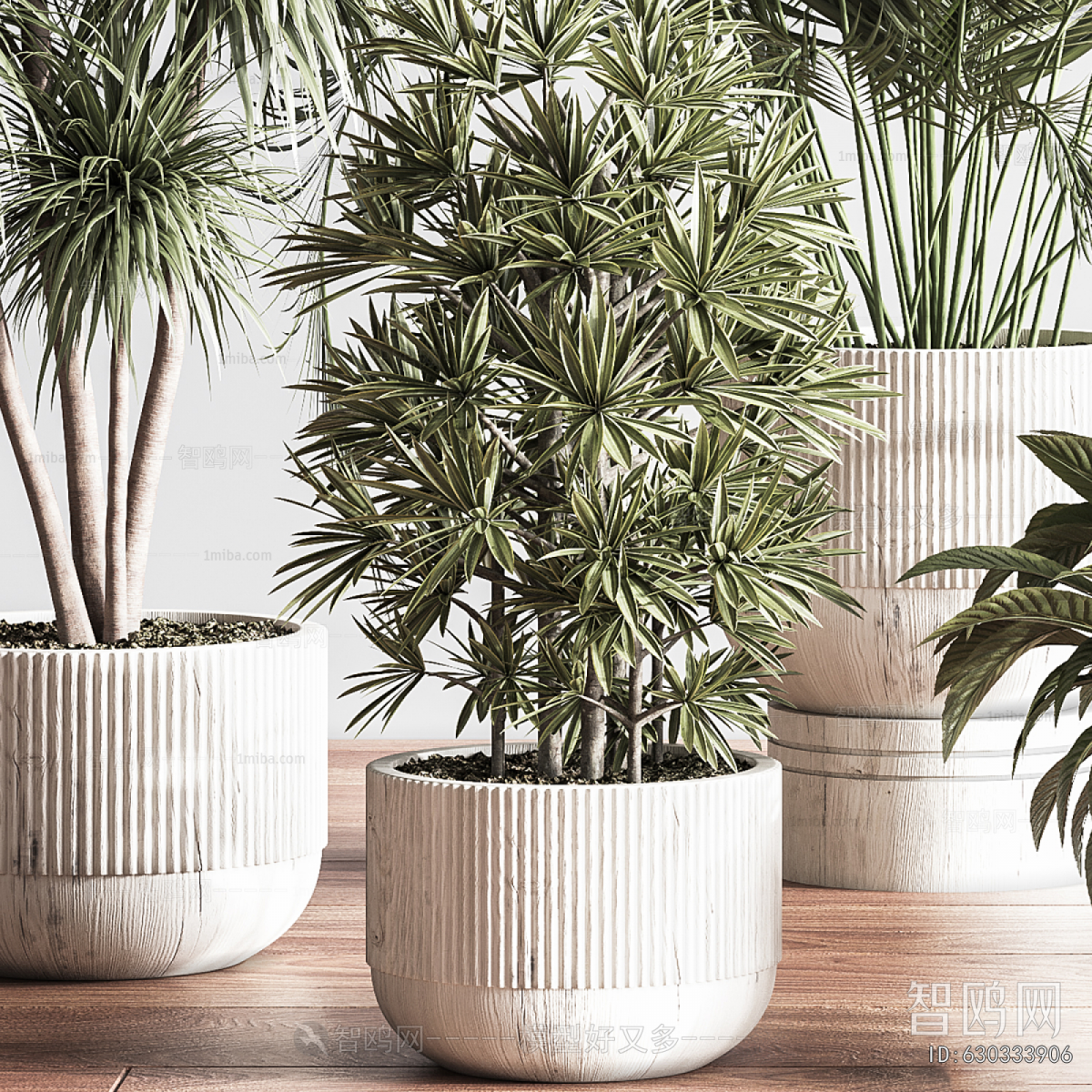Modern Ground Green Plant Potted Plants