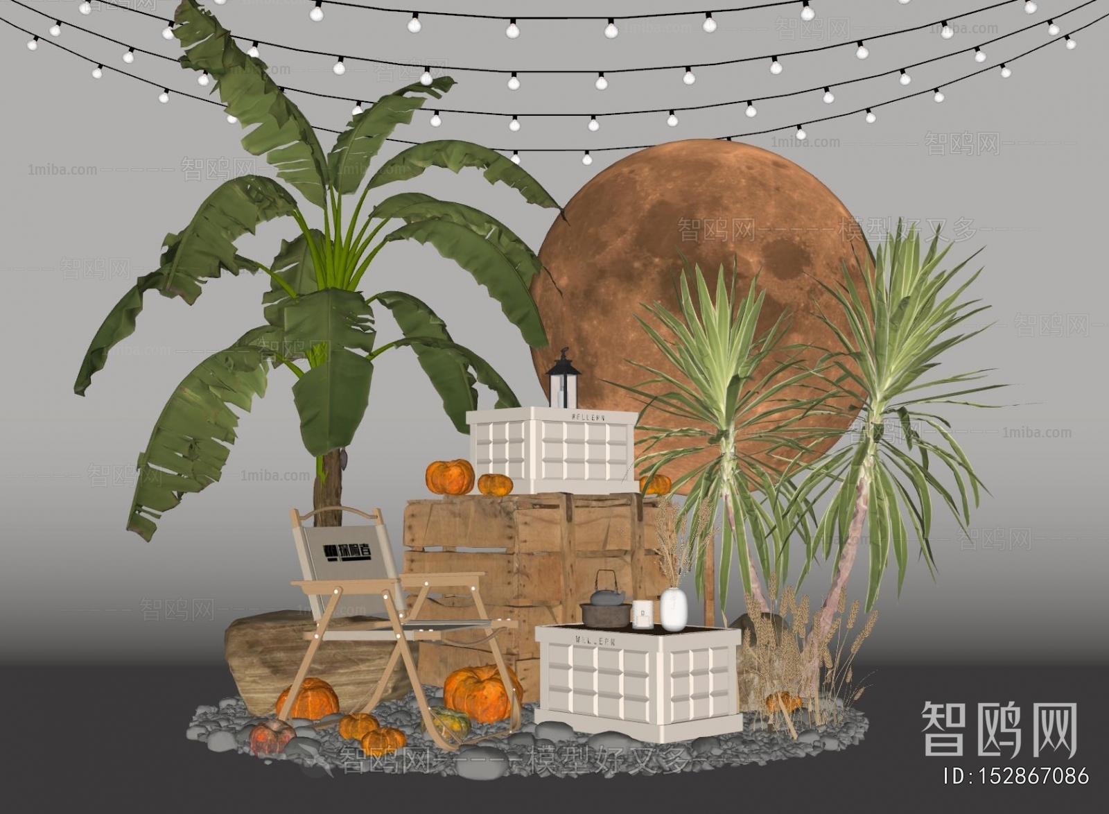 Modern Plant Landscaping