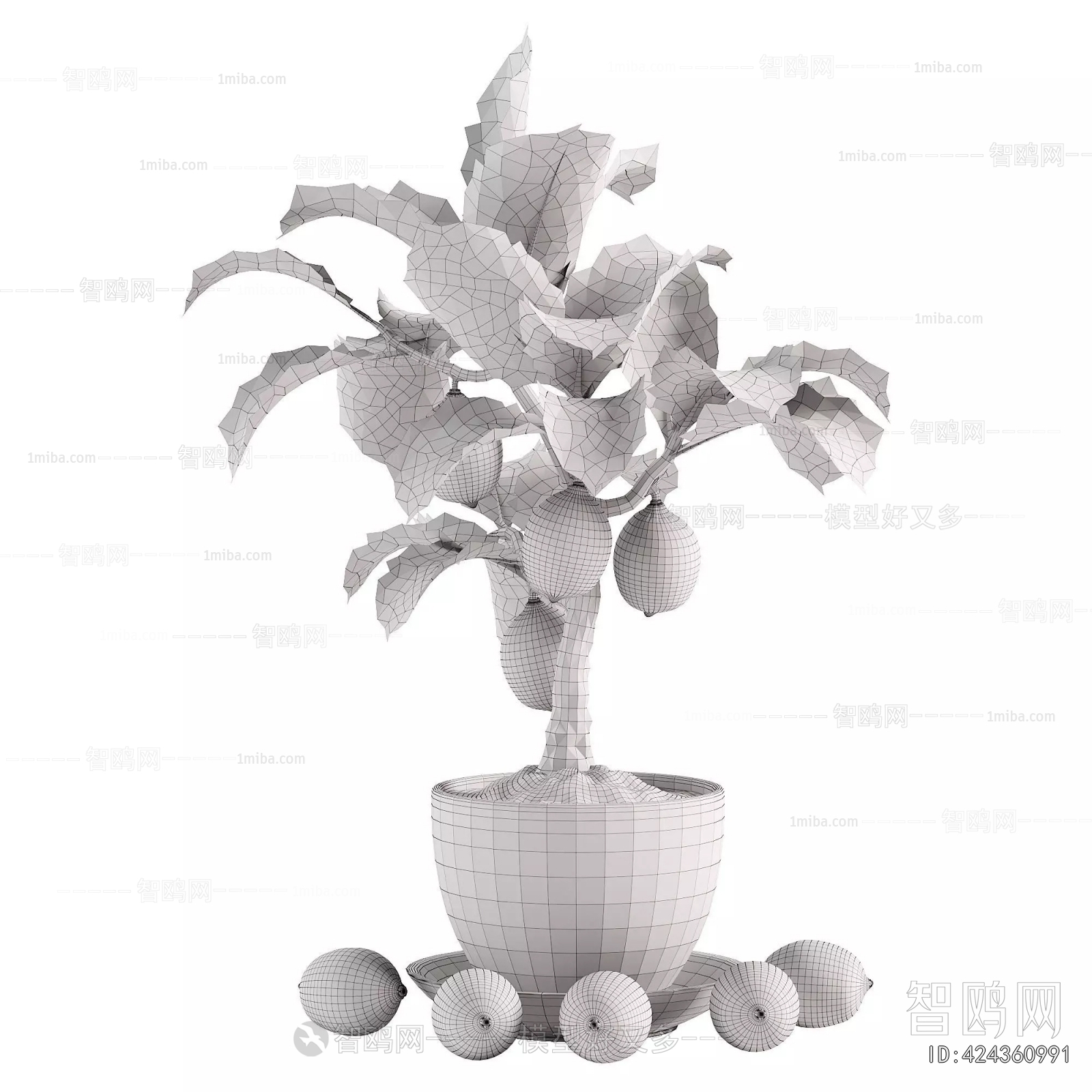 Modern Potted Green Plant