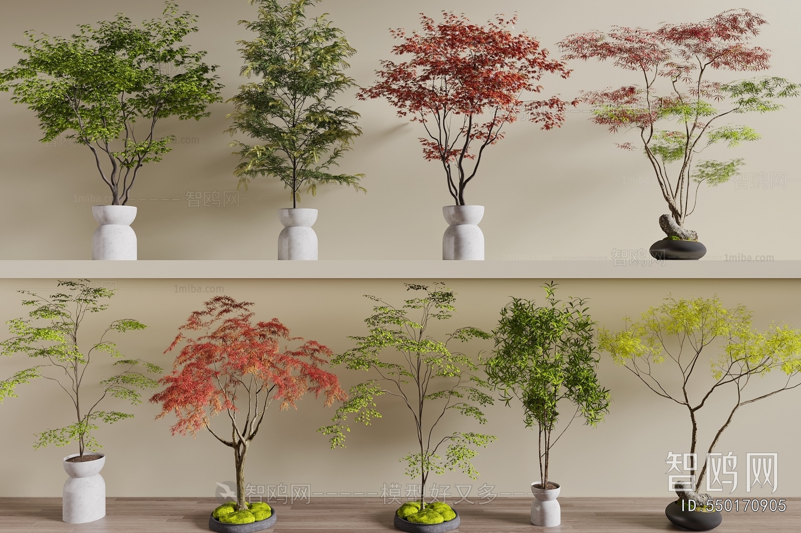 Modern Ground Green Plant Potted Plants