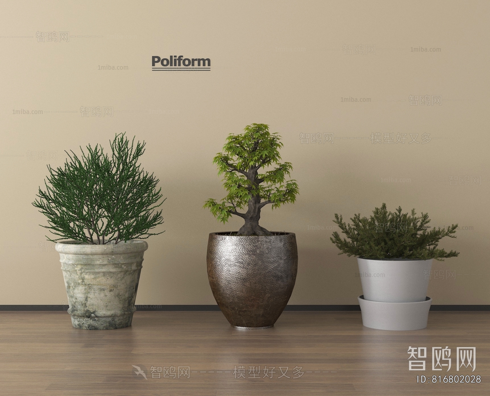 Modern Ground Green Plant Potted Plants