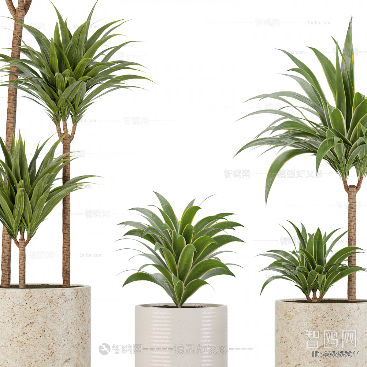 Modern Ground Green Plant Potted Plants