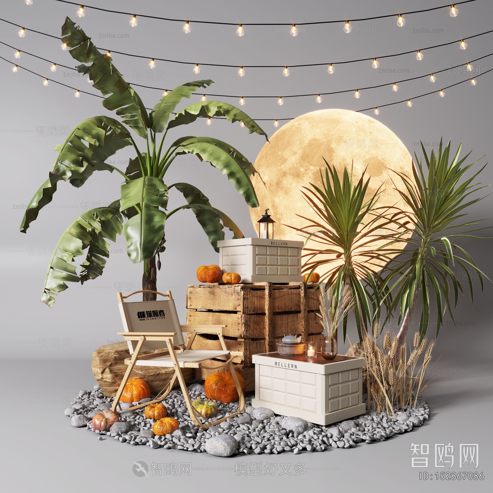 Modern Plant Landscaping