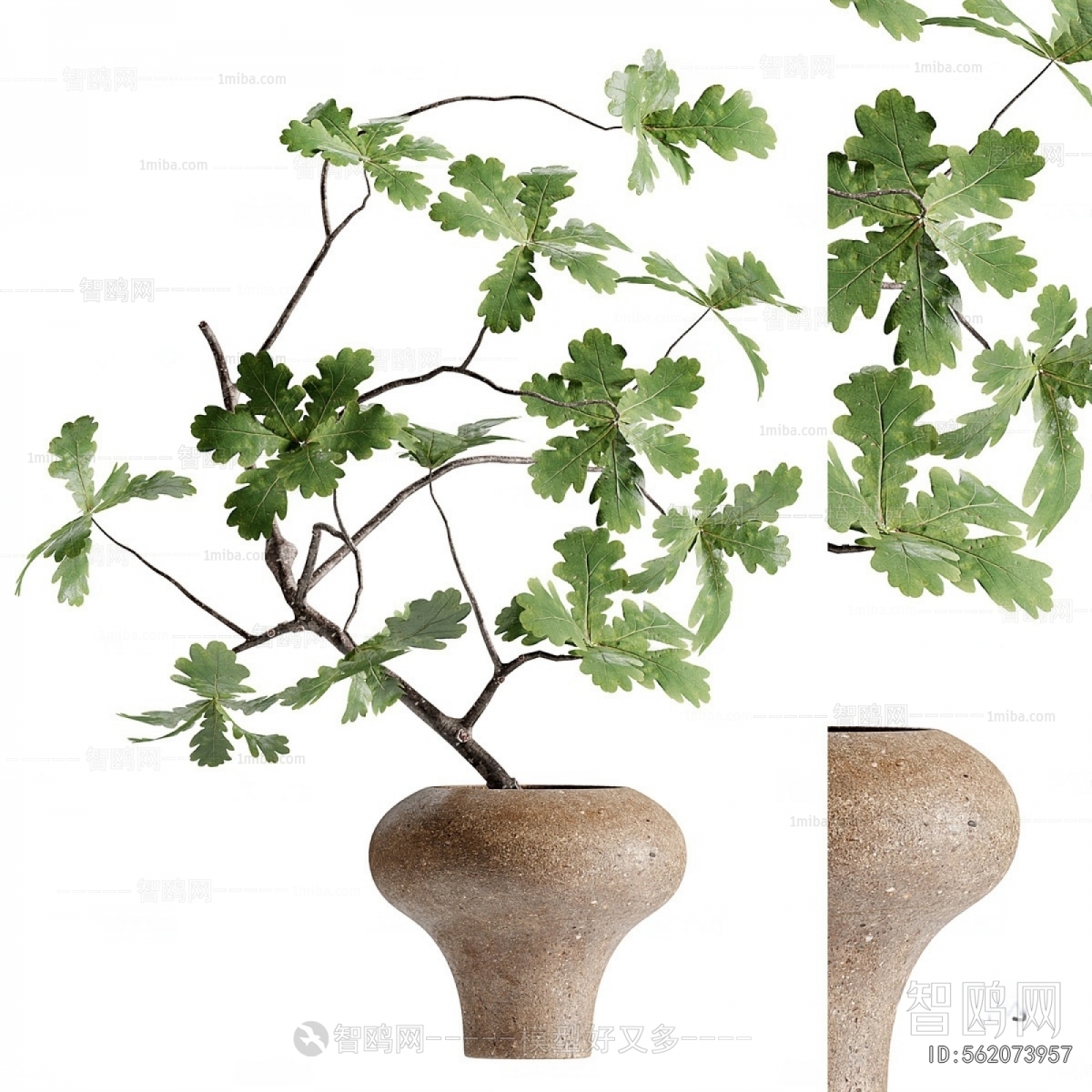 Modern Potted Green Plant