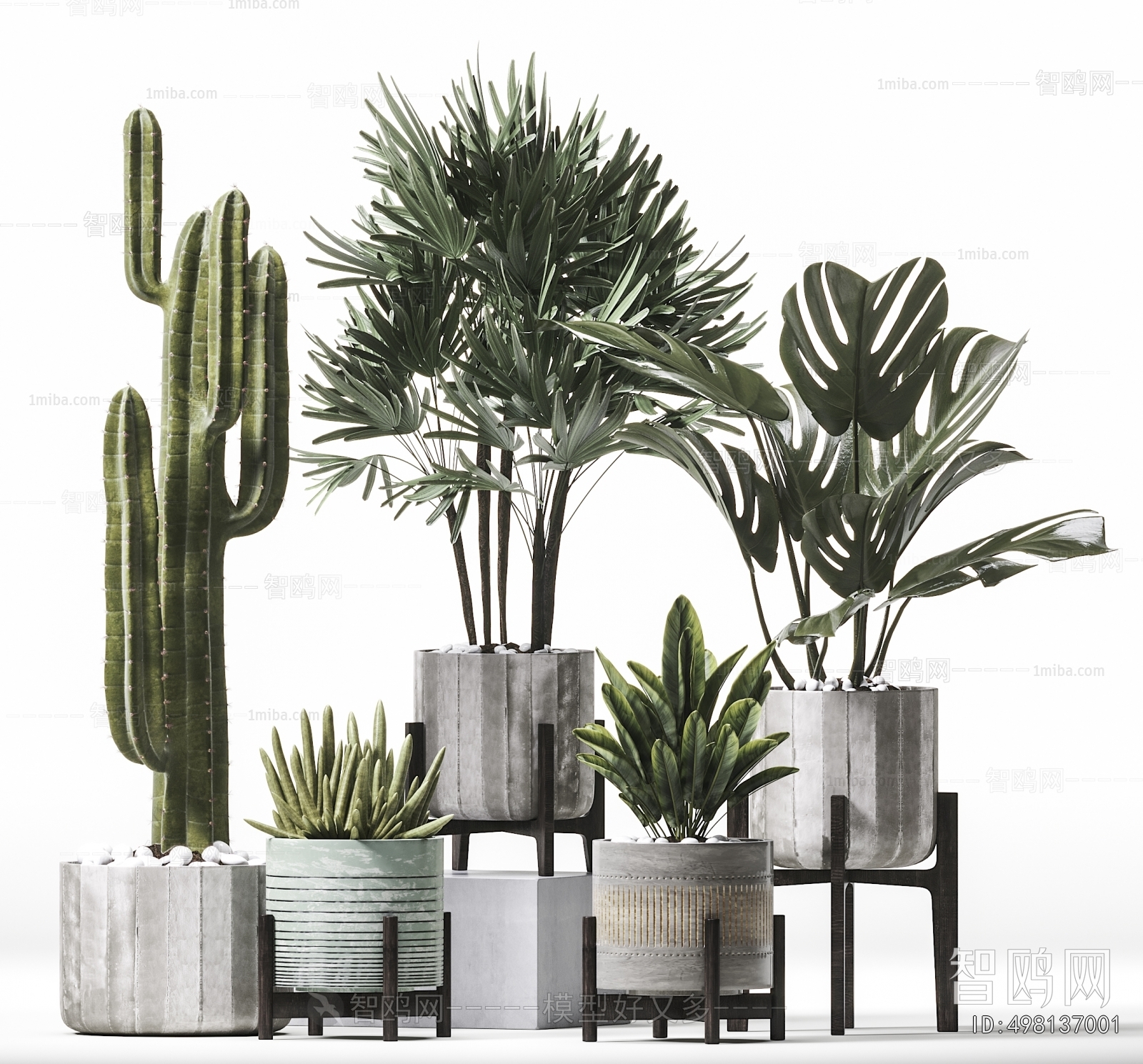 Modern Ground Green Plant Potted Plants