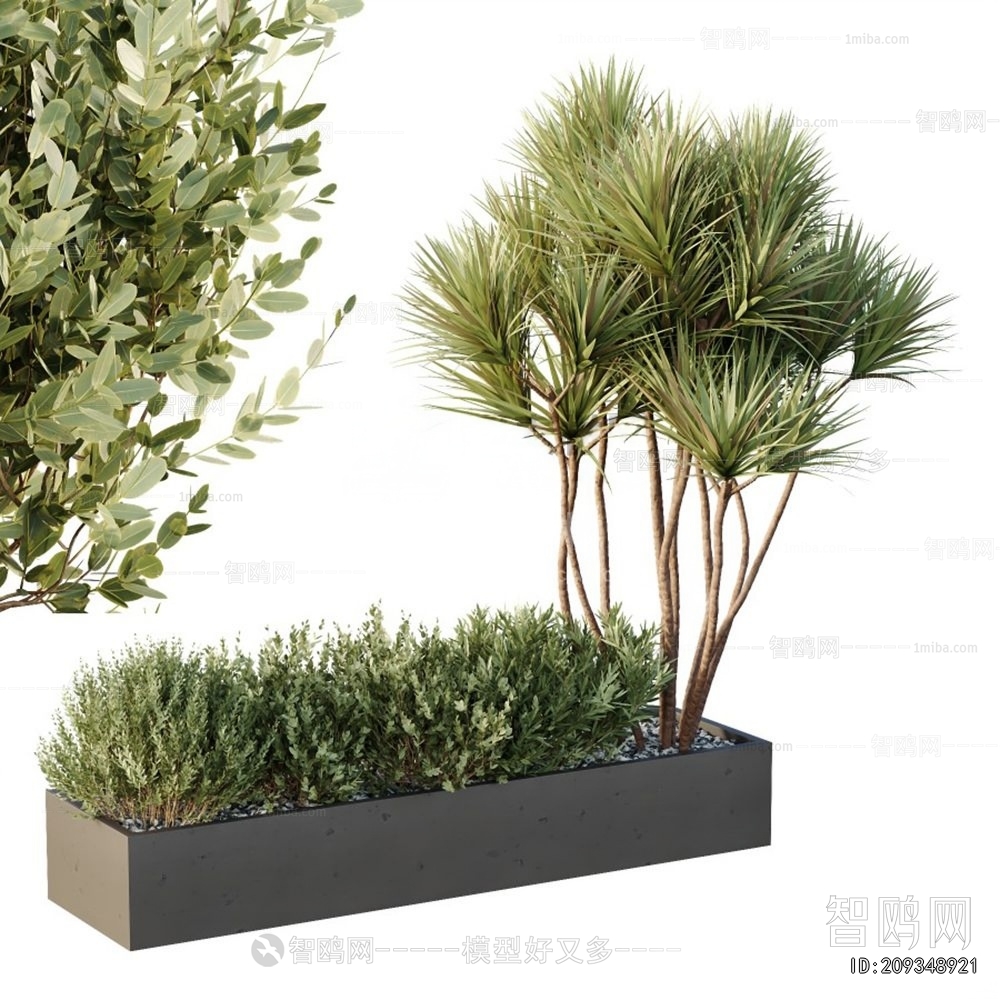 Modern Flower Bed, Flower Bowl, Flower Box