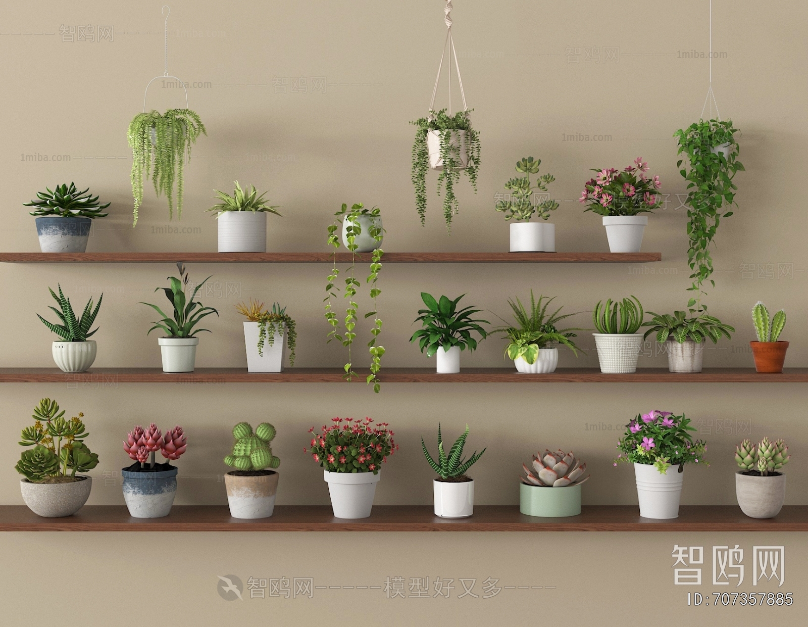 Modern Potted Green Plant