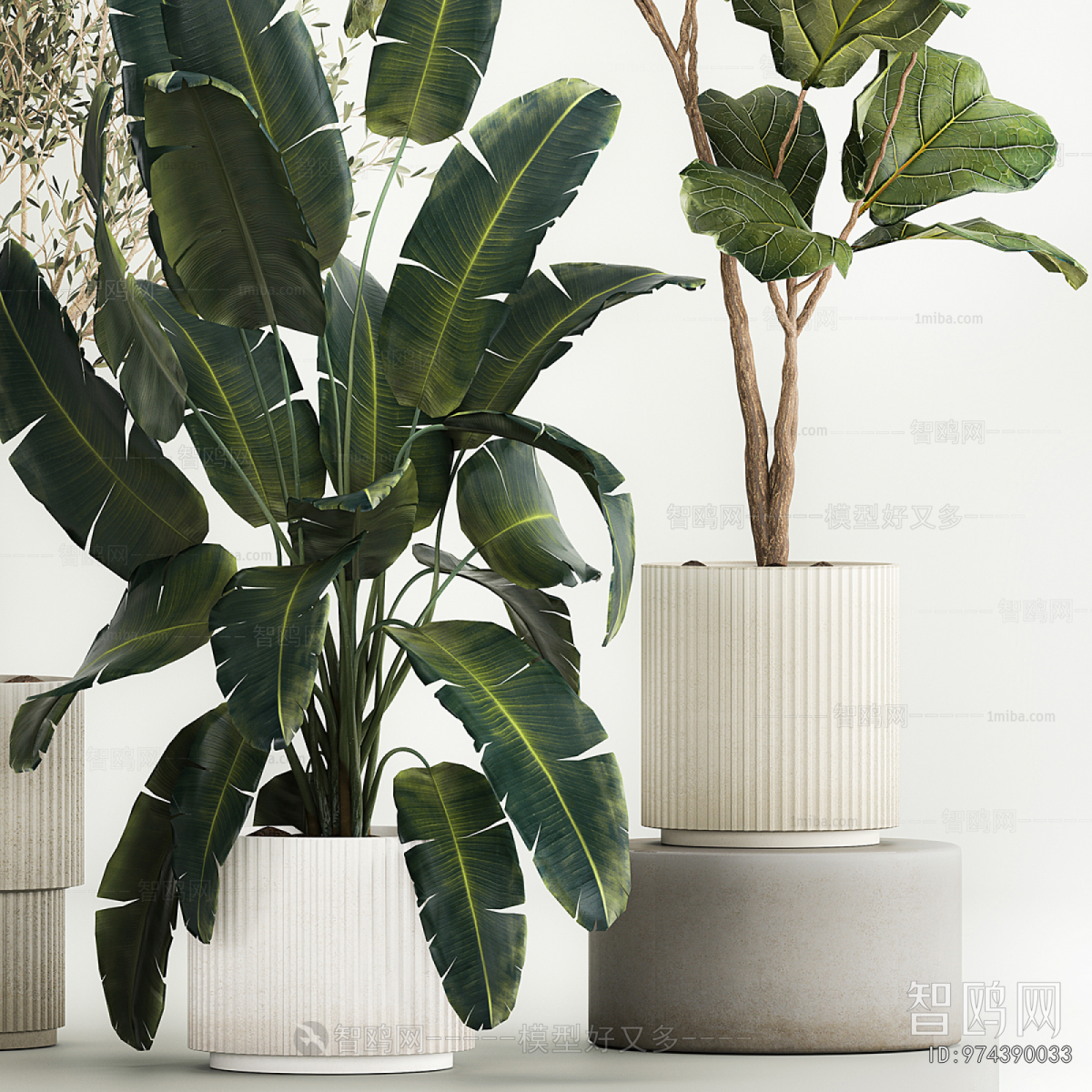 Modern Ground Green Plant Potted Plants