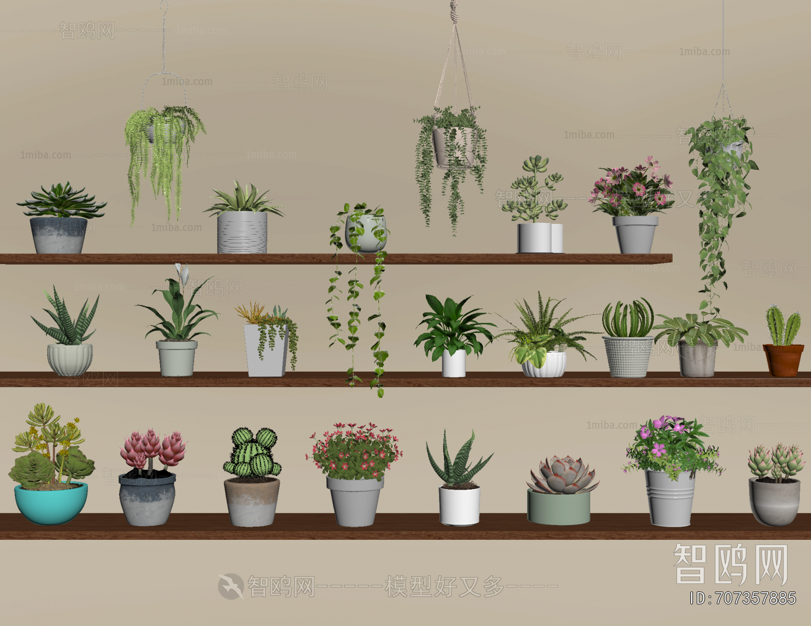 Modern Potted Green Plant