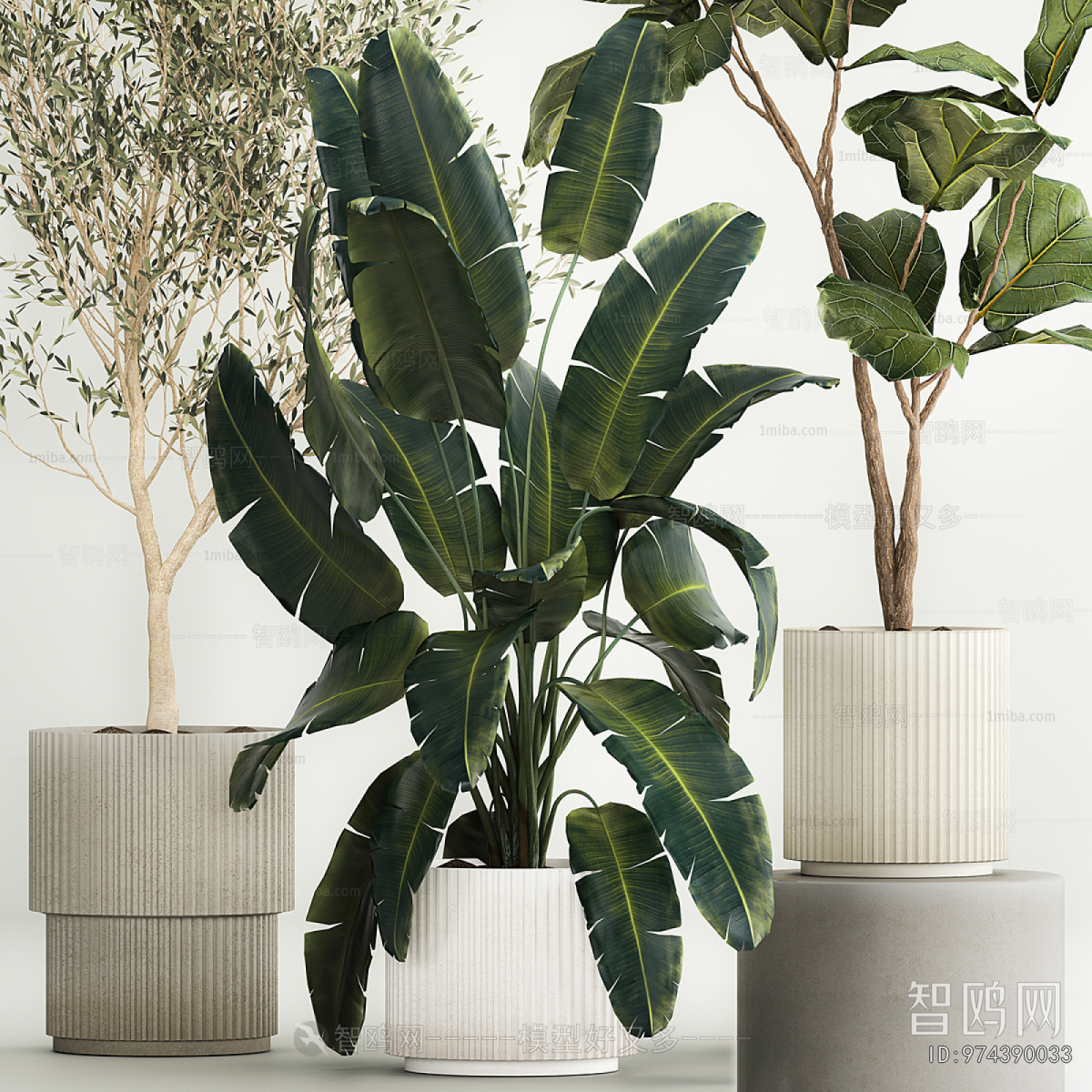 Modern Ground Green Plant Potted Plants