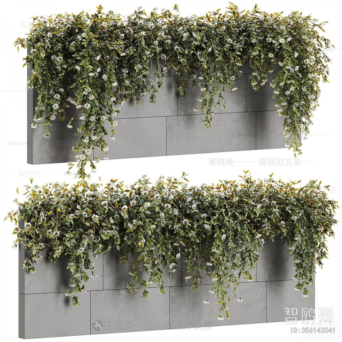 Modern Plant Wall