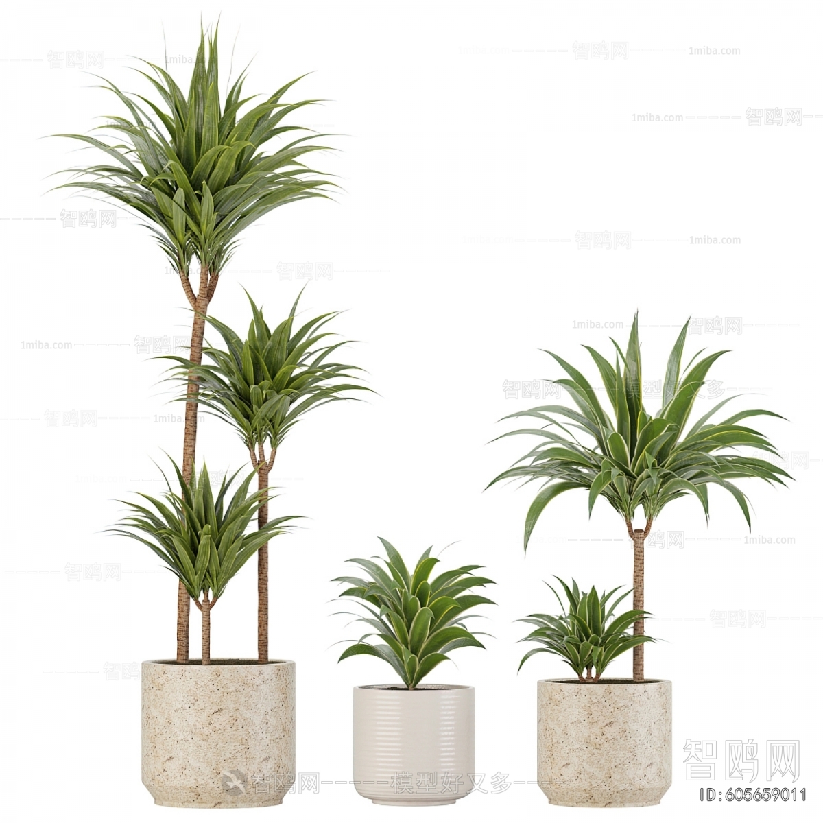 Modern Ground Green Plant Potted Plants