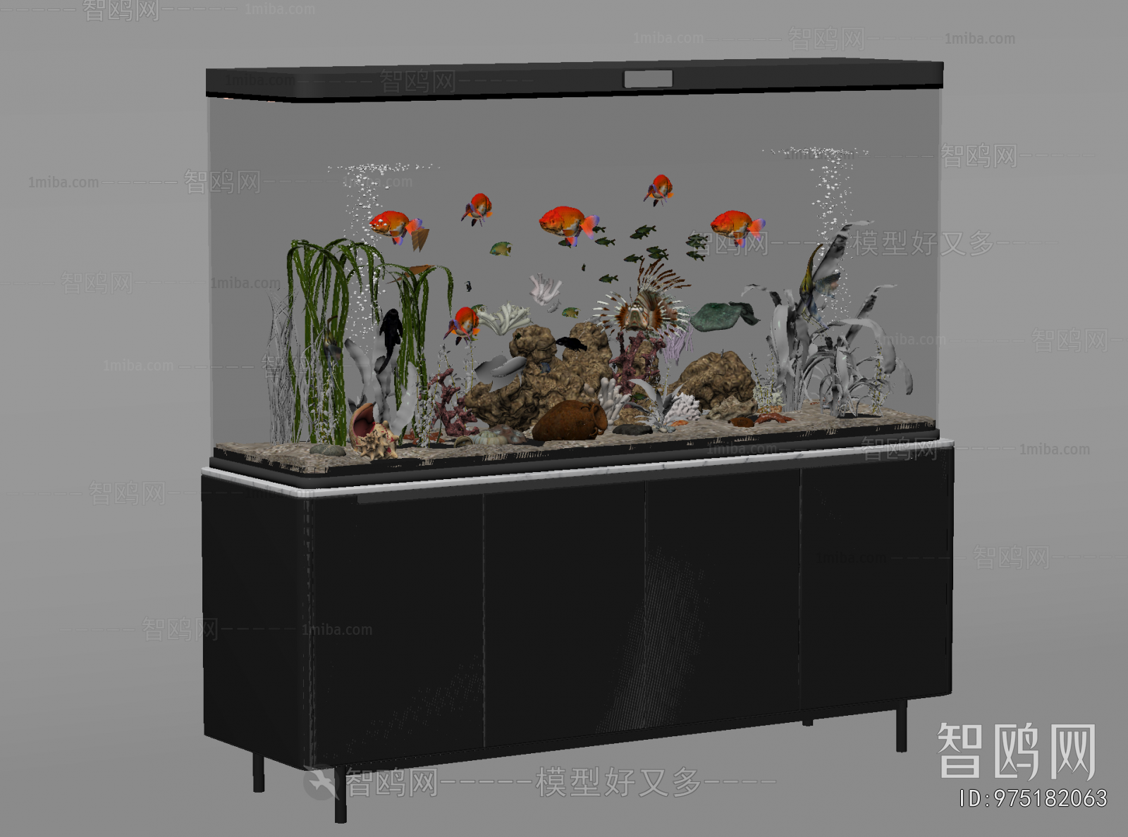 Modern Fish Tank