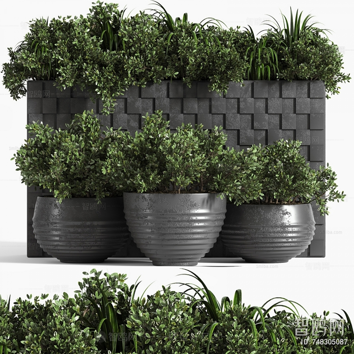 Modern Flower Bed, Flower Bowl, Flower Box