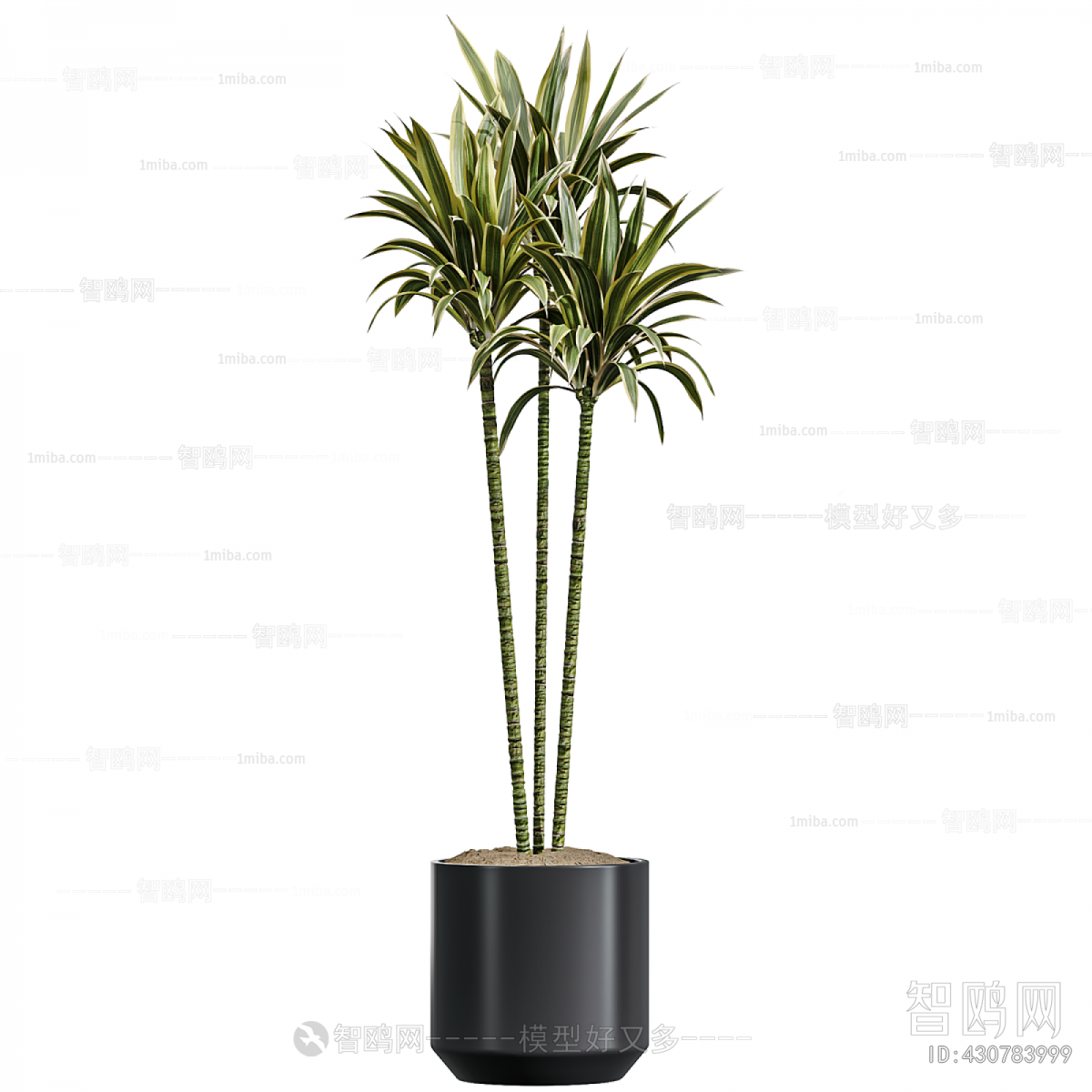 Modern Ground Green Plant Potted Plants