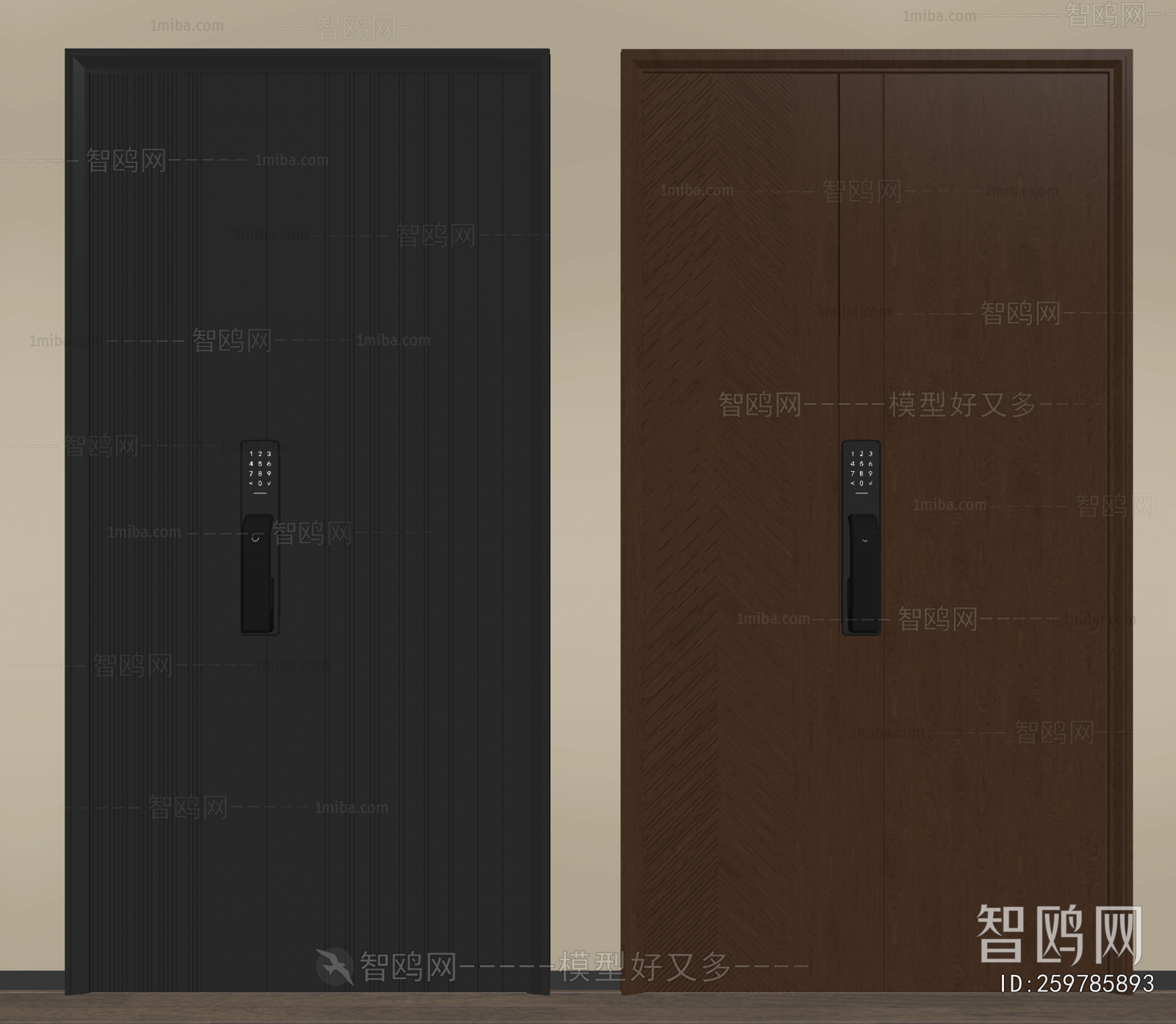 Modern Entrance Door