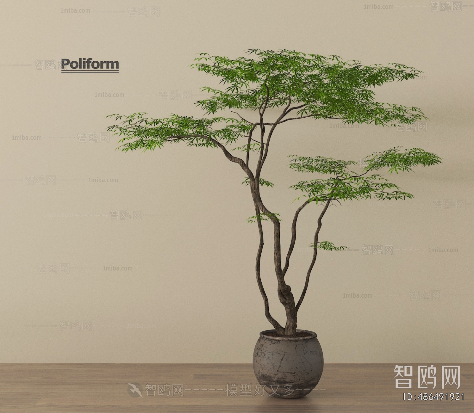 Wabi-sabi Style Ground Green Plant Potted Plants