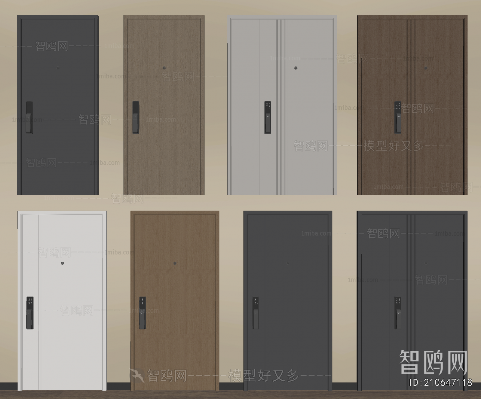 Modern Entrance Door