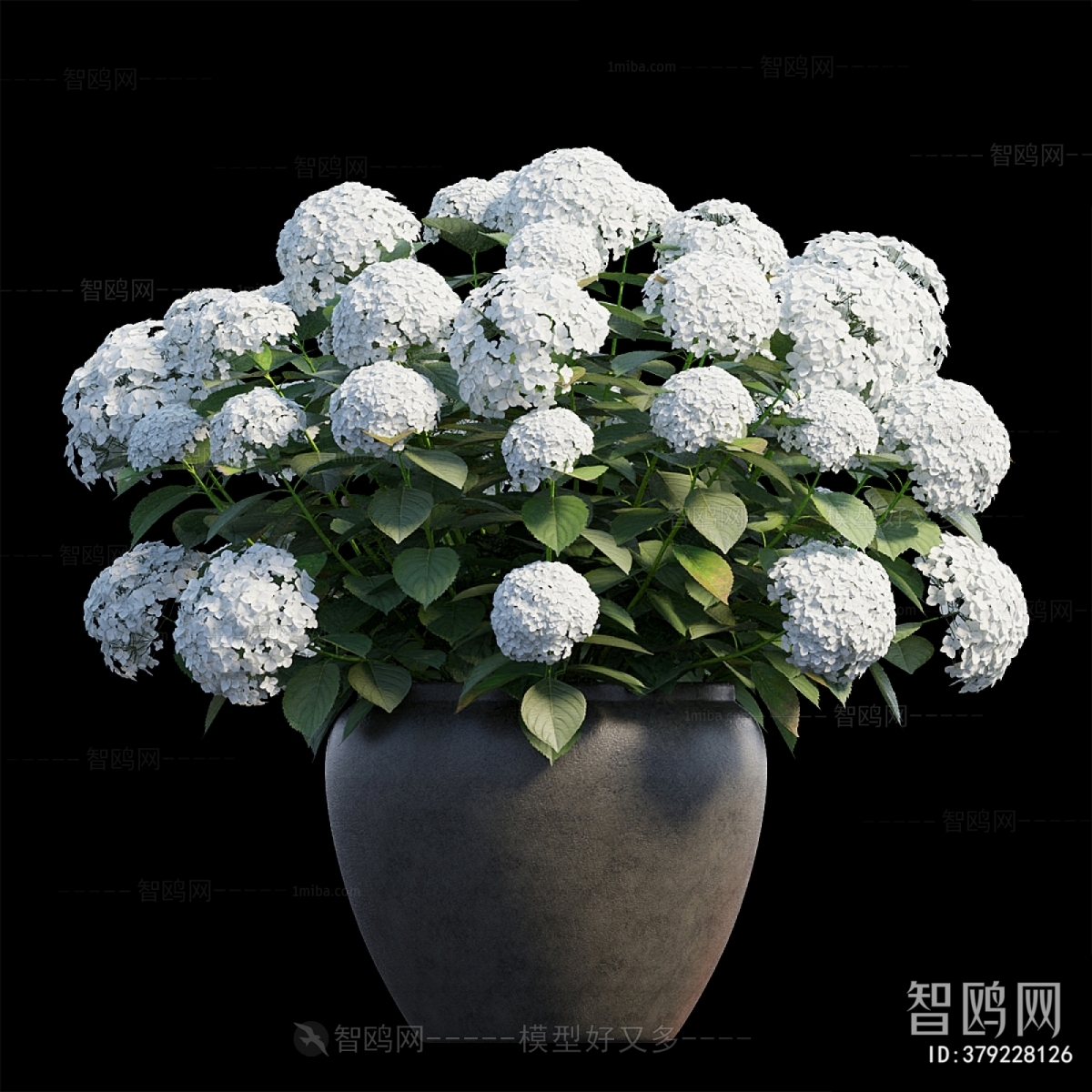 Modern Potted Green Plant