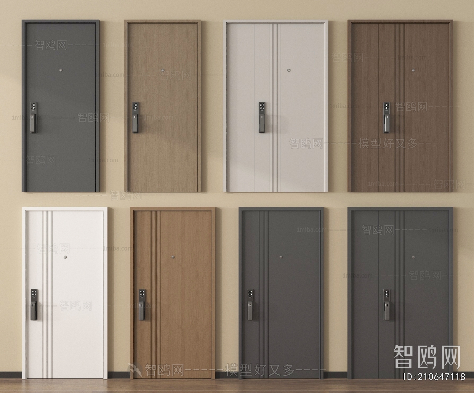 Modern Entrance Door