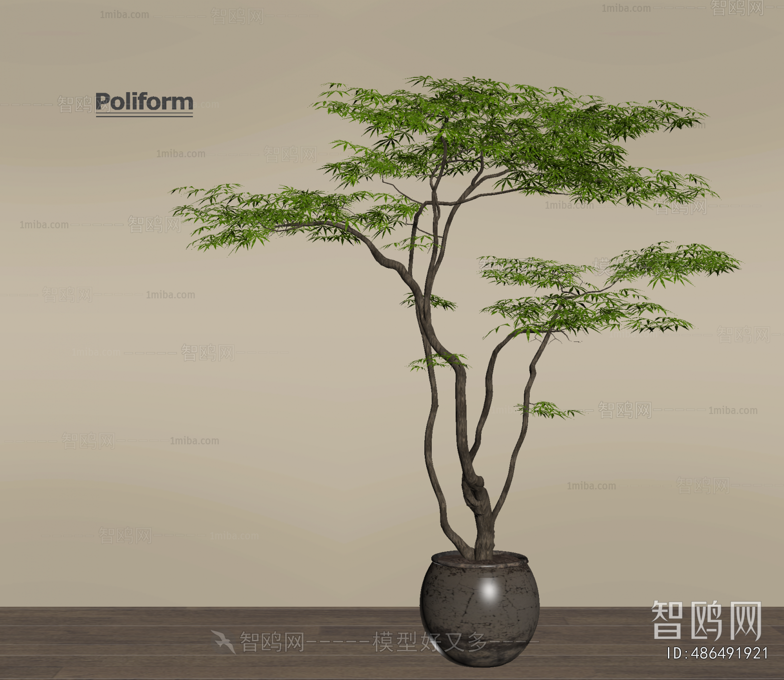 Wabi-sabi Style Ground Green Plant Potted Plants