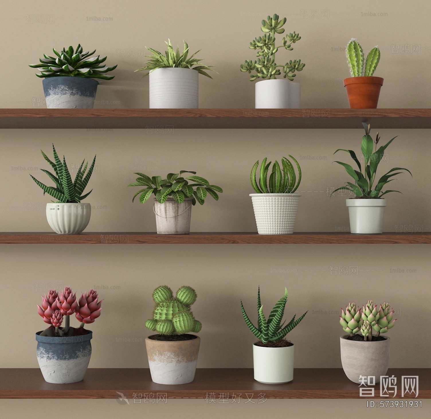 Modern Potted Green Plant