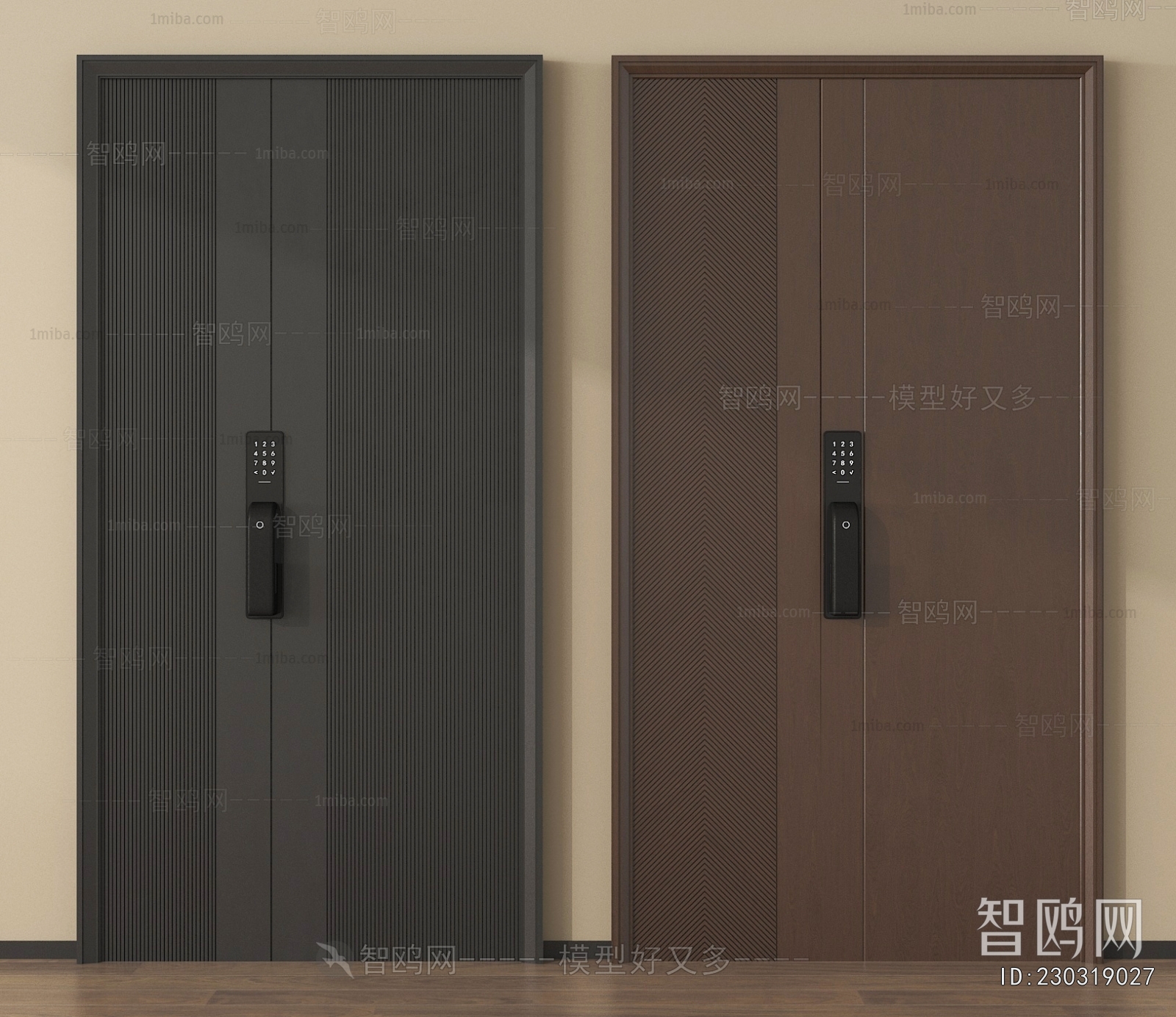 Modern Entrance Door