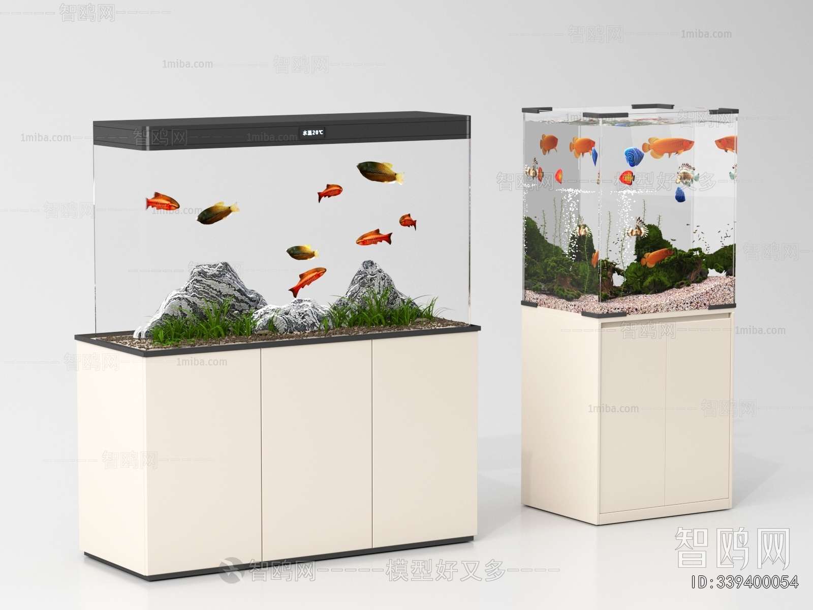 Modern Fish Tank