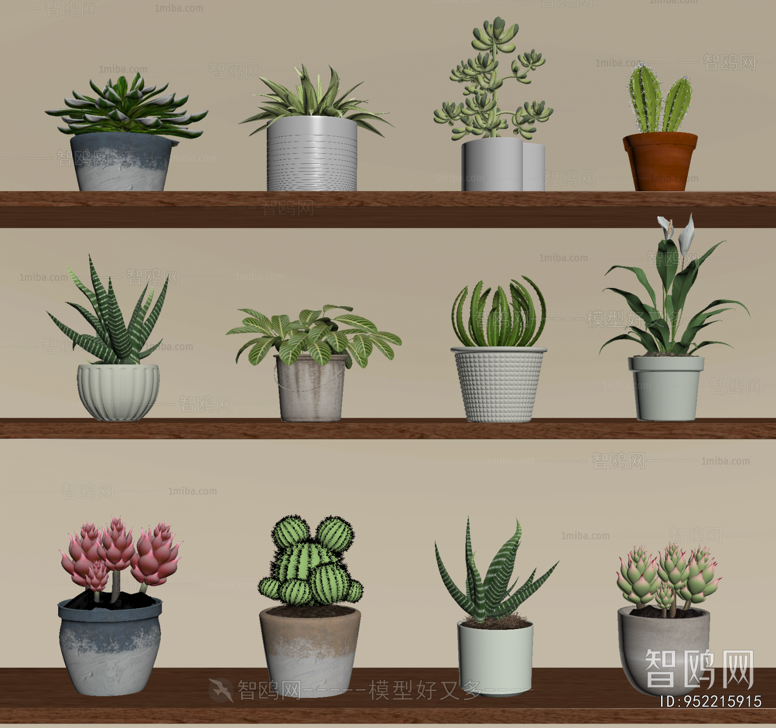 Modern Potted Green Plant