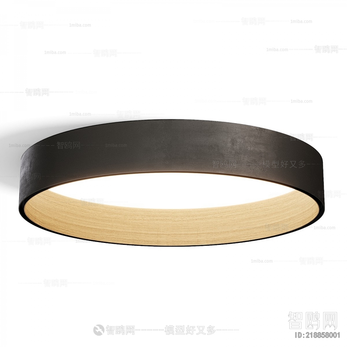 Modern Ceiling Ceiling Lamp