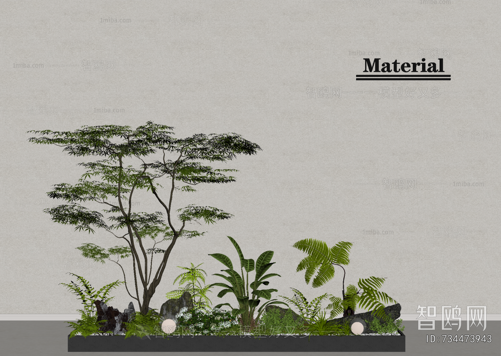 Modern Plant Landscaping