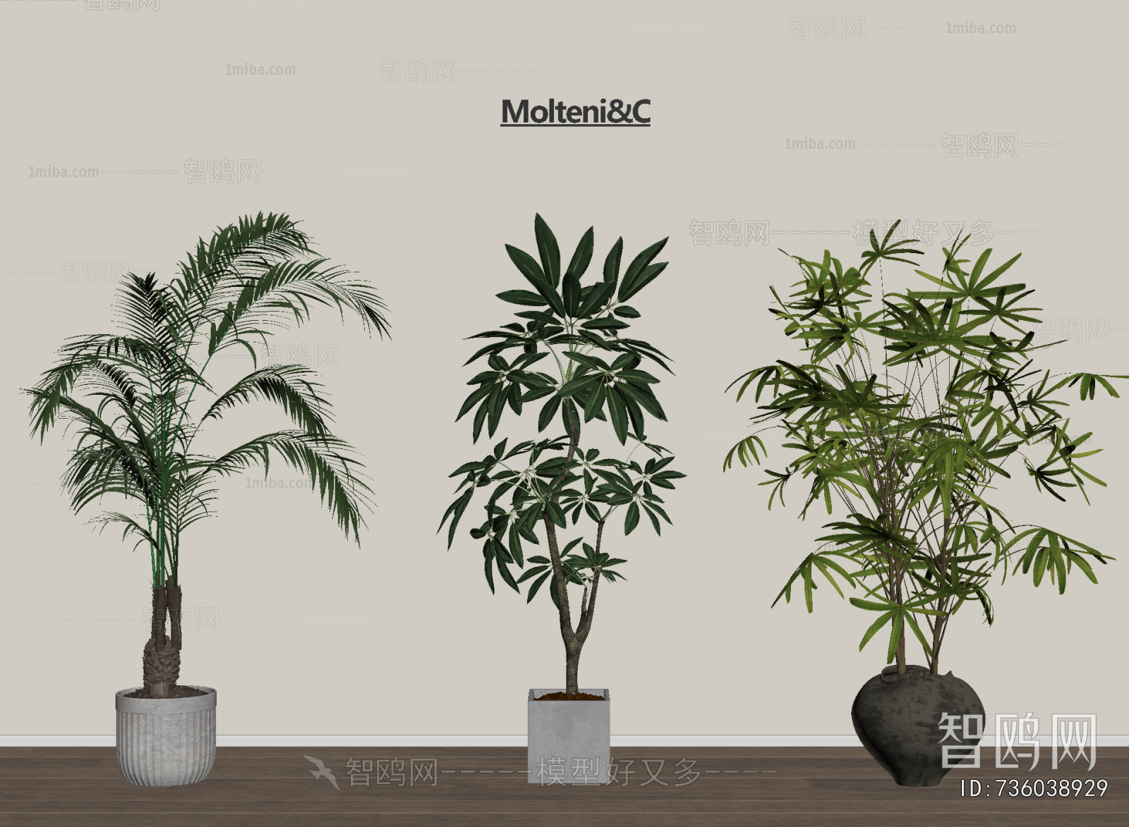 Modern Ground Green Plant Potted Plants