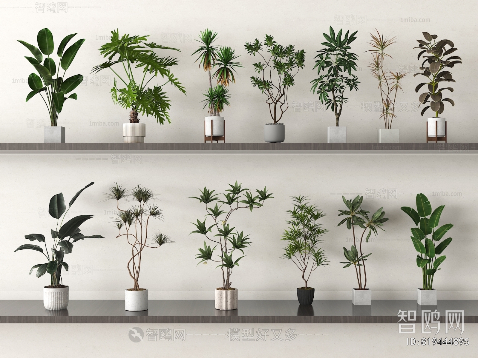 Modern Ground Green Plant Potted Plants