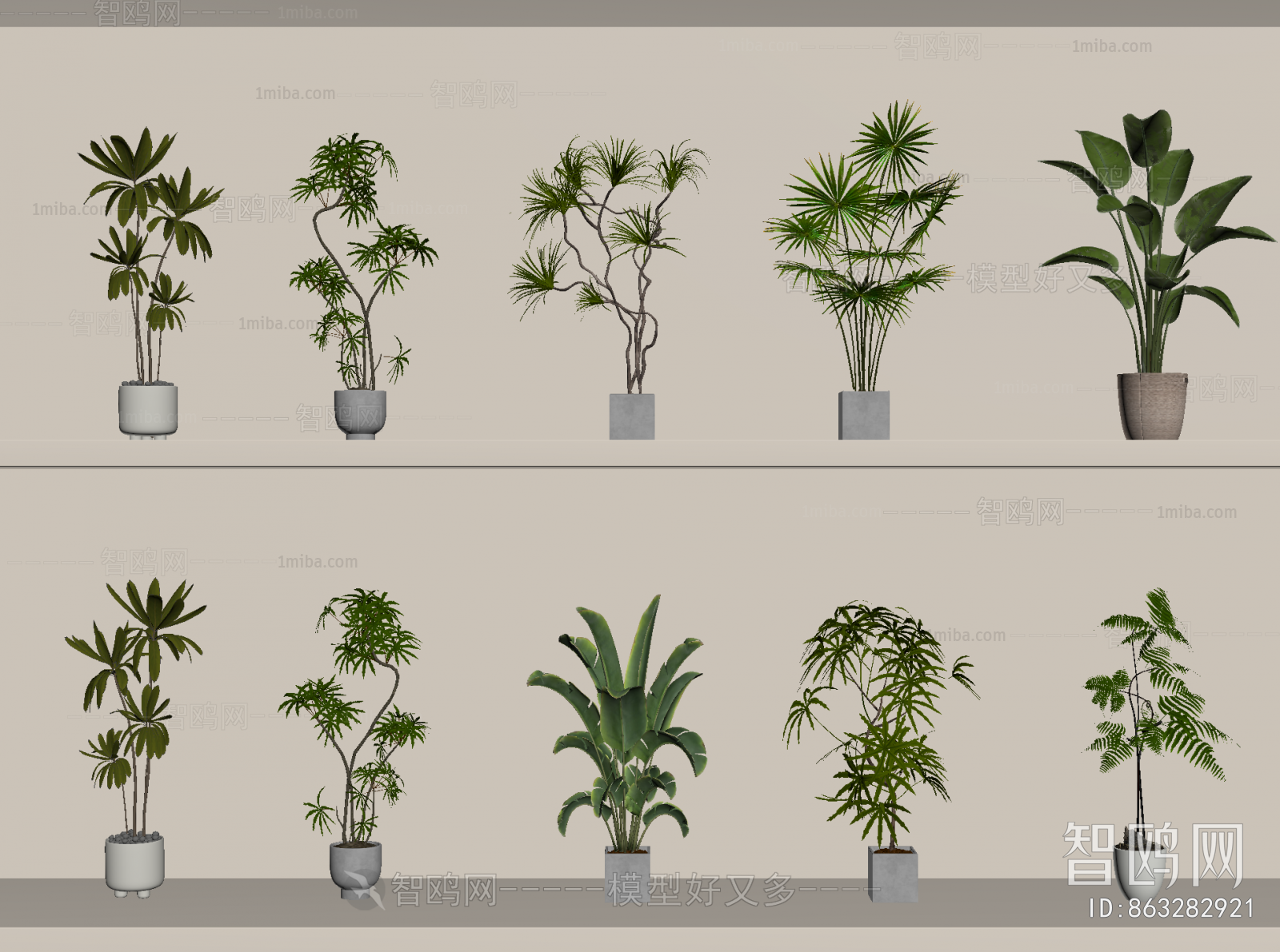Modern Ground Green Plant Potted Plants