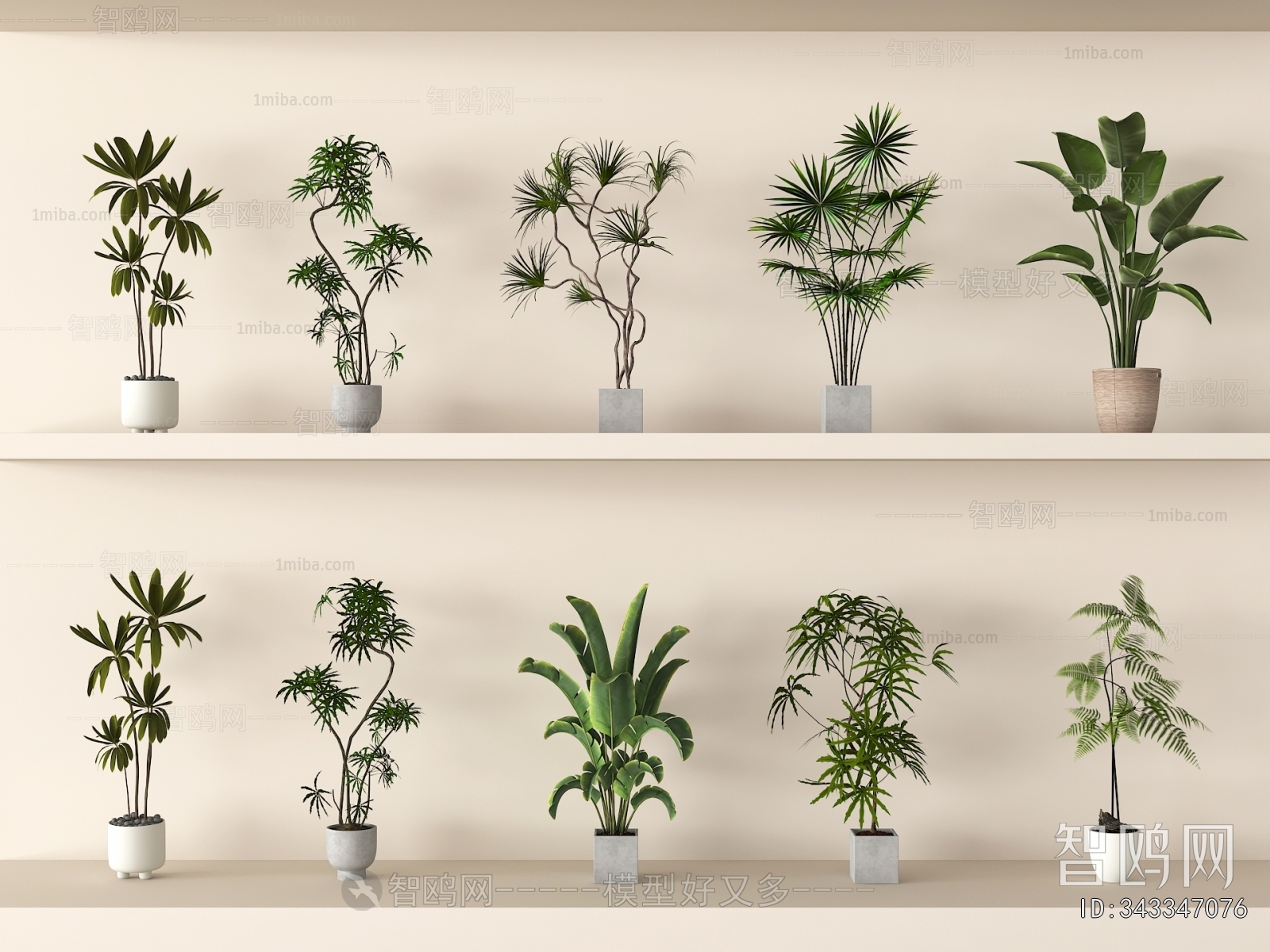 Modern Ground Green Plant Potted Plants