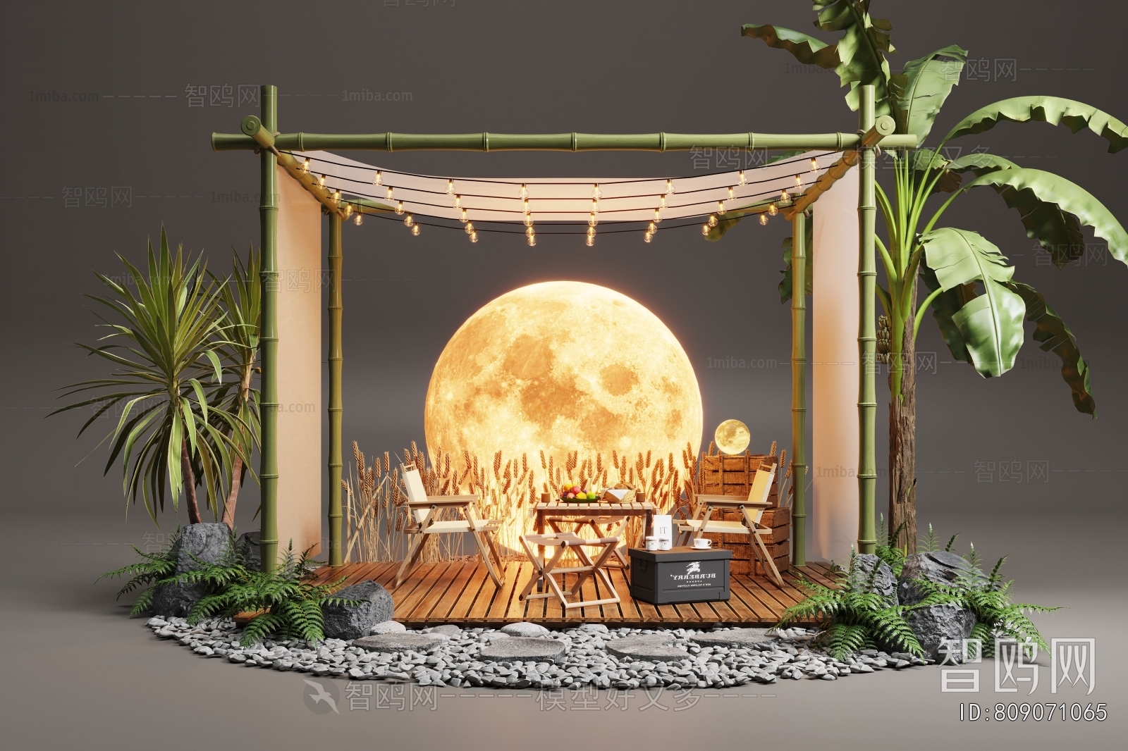 Modern Plant Landscaping