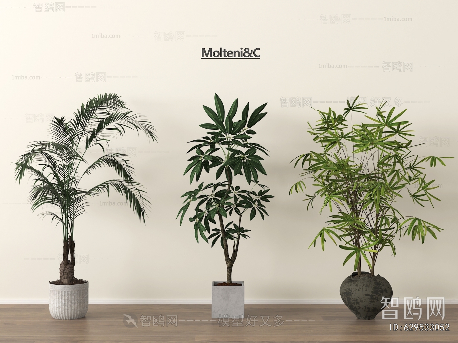 Modern Ground Green Plant Potted Plants