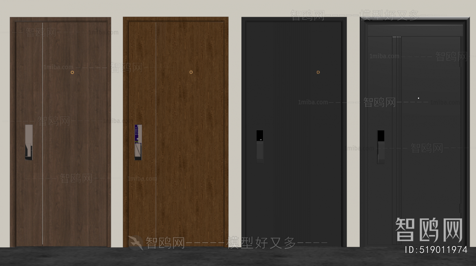 Modern Entrance Door