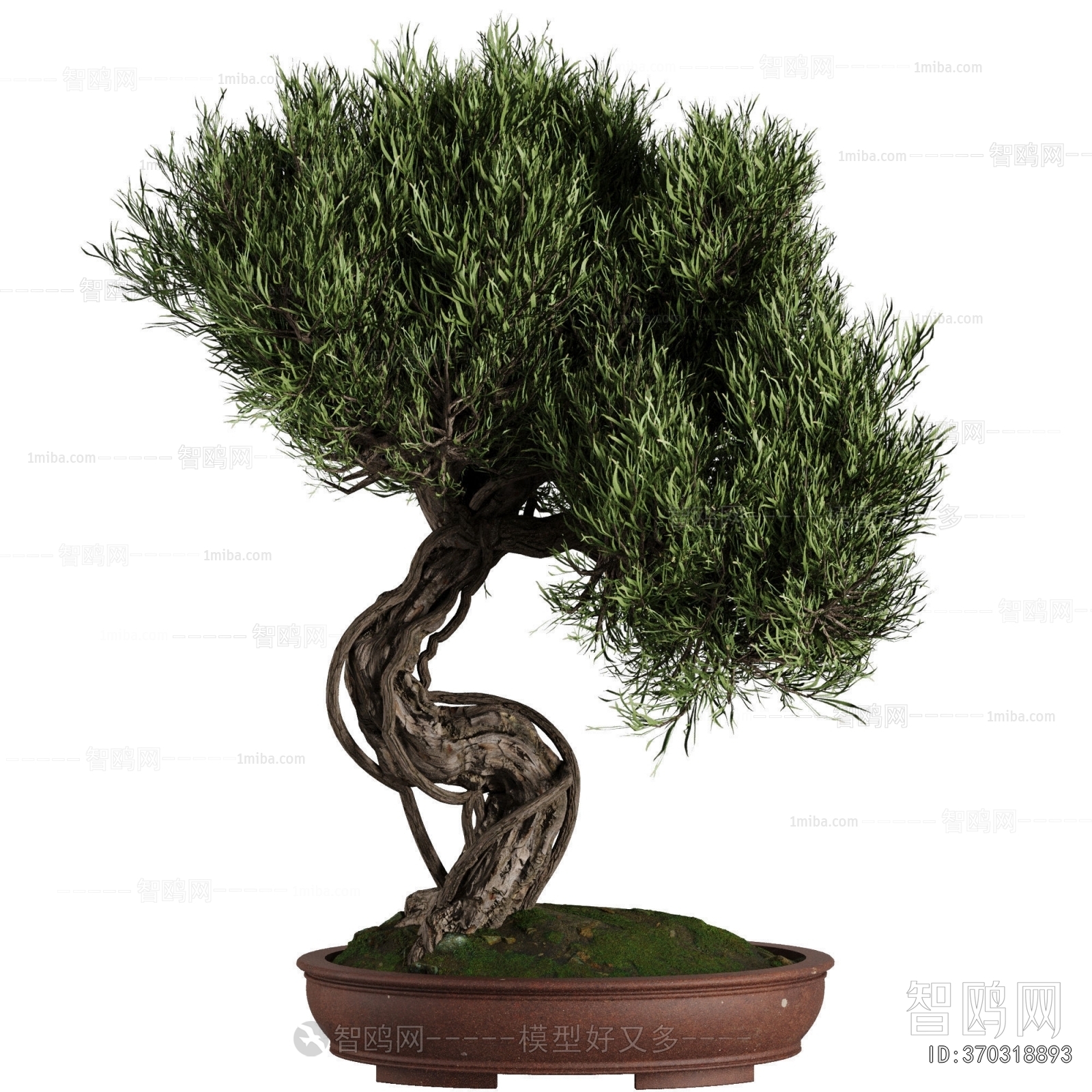 New Chinese Style Bonsai