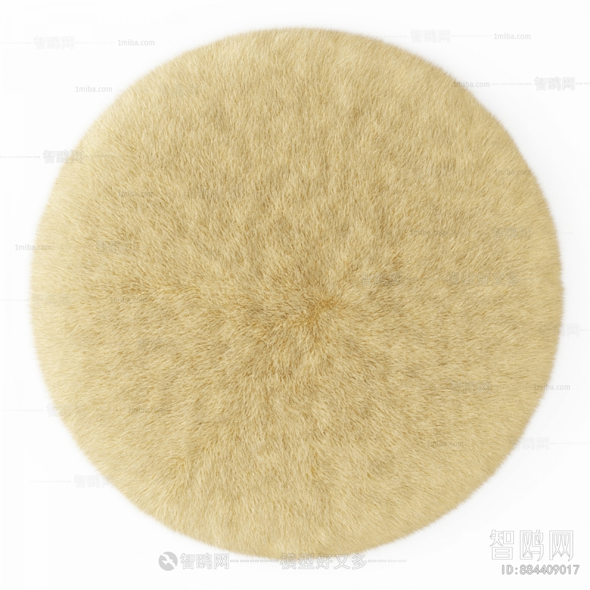 Modern Circular Carpet