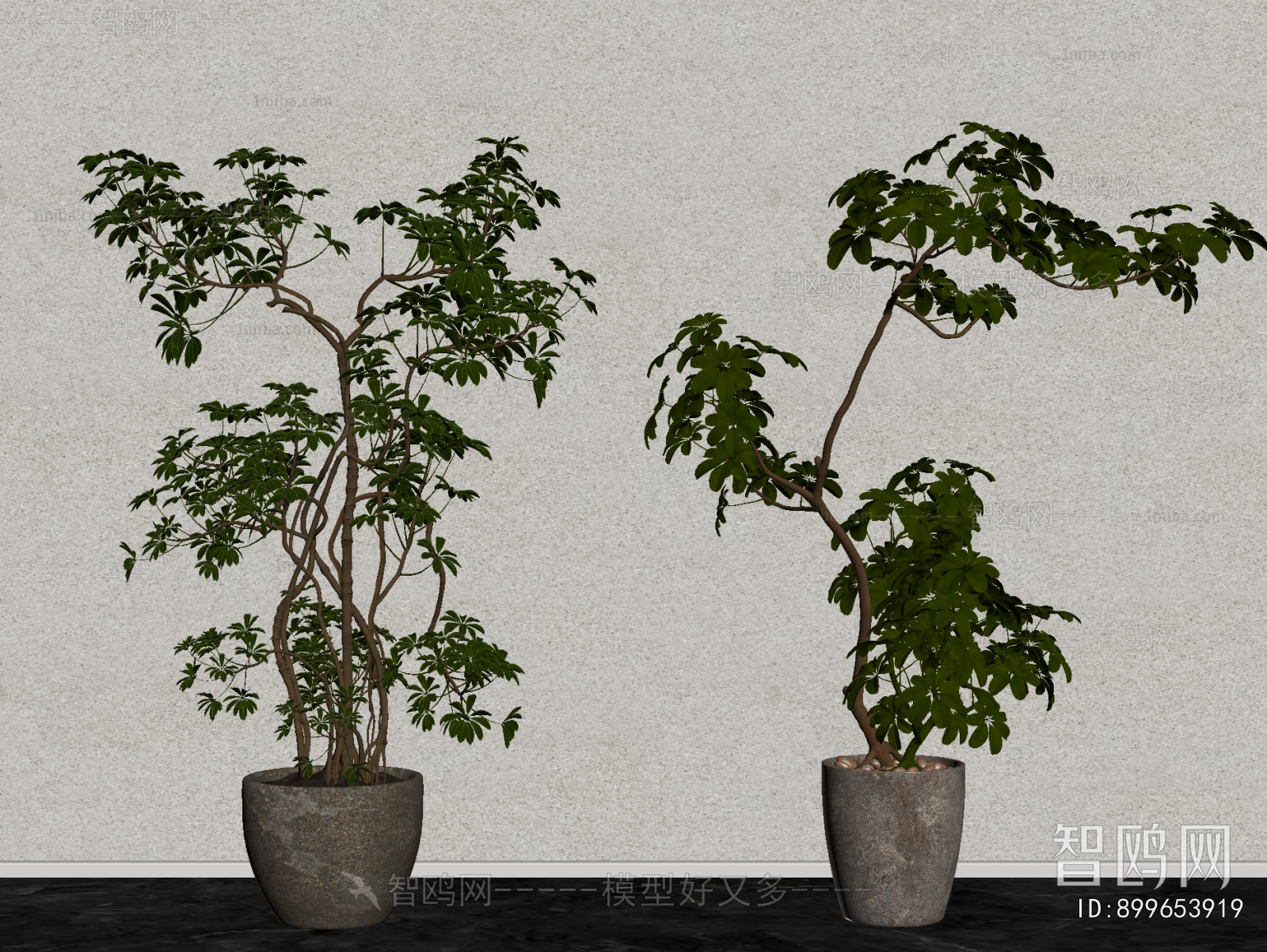 Modern Ground Green Plant Potted Plants